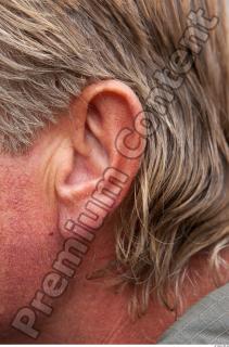 Ear texture of street references 339 0001